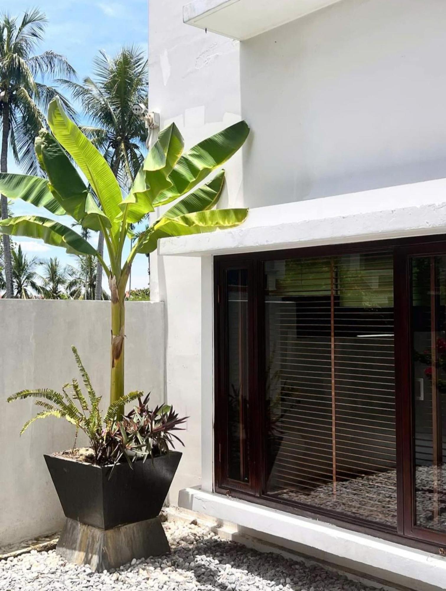 Happy Life Memories Hoi An Hotel & Spa Хойан Экстерьер фото
